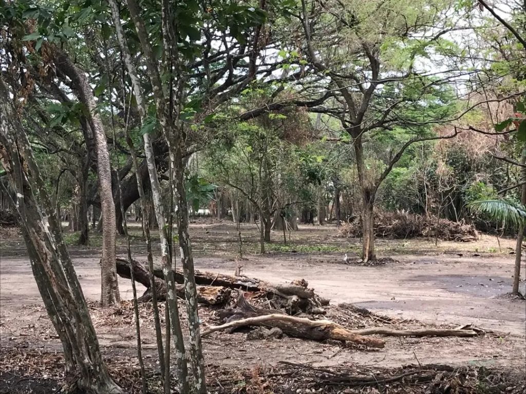Jardín Botánico