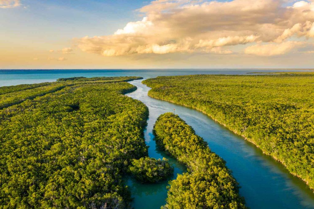 El gobernador de Florida, Ron DeSantis, anunció este lunes la asignación de 1.500 millones de dólares del presupuesto fiscal 2024-2025 para las restauración del humedal de los Everglades.