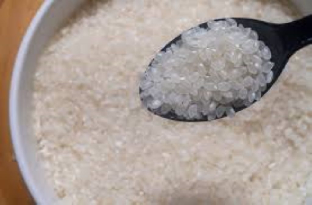 Científicos chinos lograron cultivar por primera vez arroz de crecimiento rápido en invernaderos situados en una zona desértica