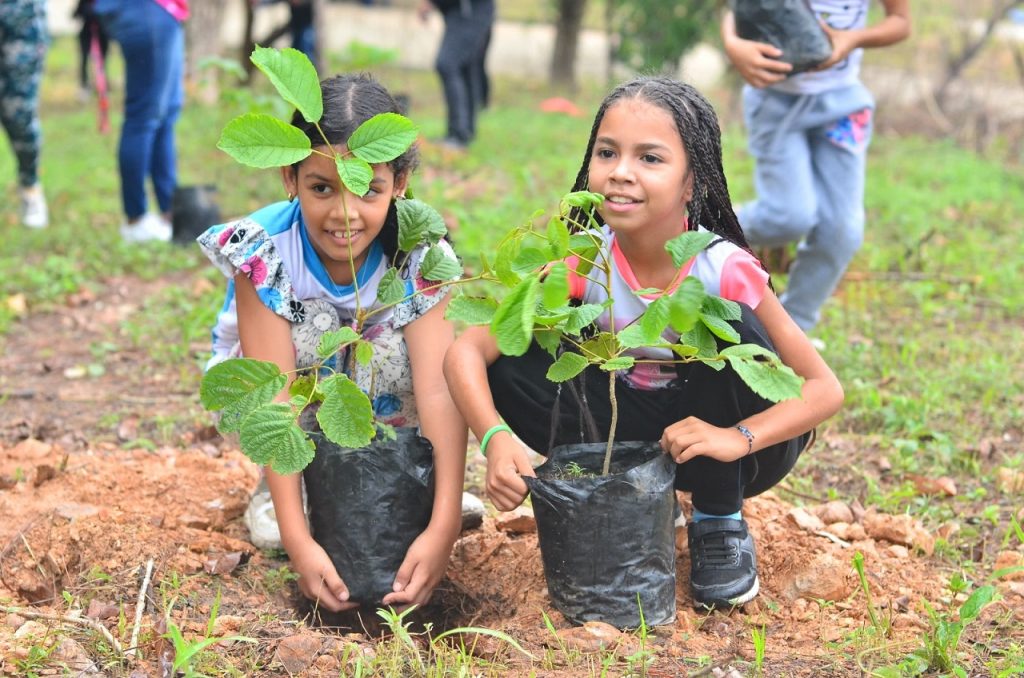 Realizada jornada de reforestación en el cerro El Café