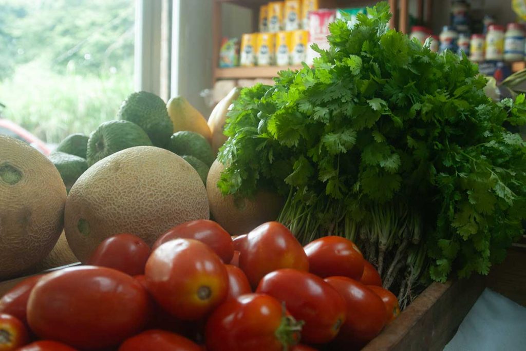 Frutas y vegetales canasta