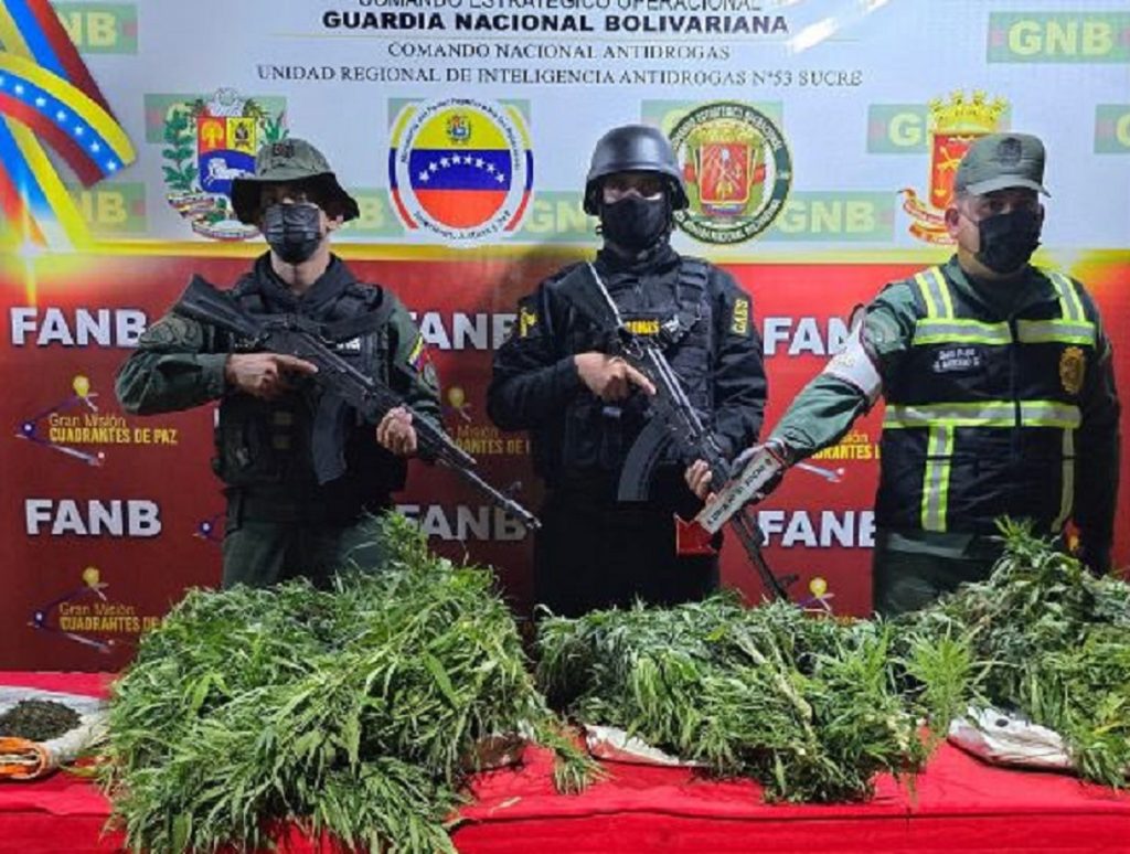Fuerza Armada incautó 21 kilos de marihuana en el estado Sucre