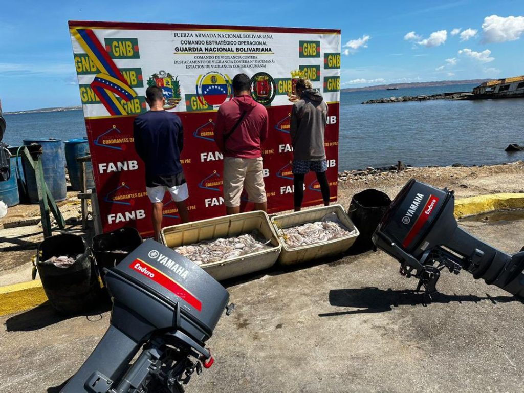 Detenidas tres personas por intentar comercializar pulpo en período de veda