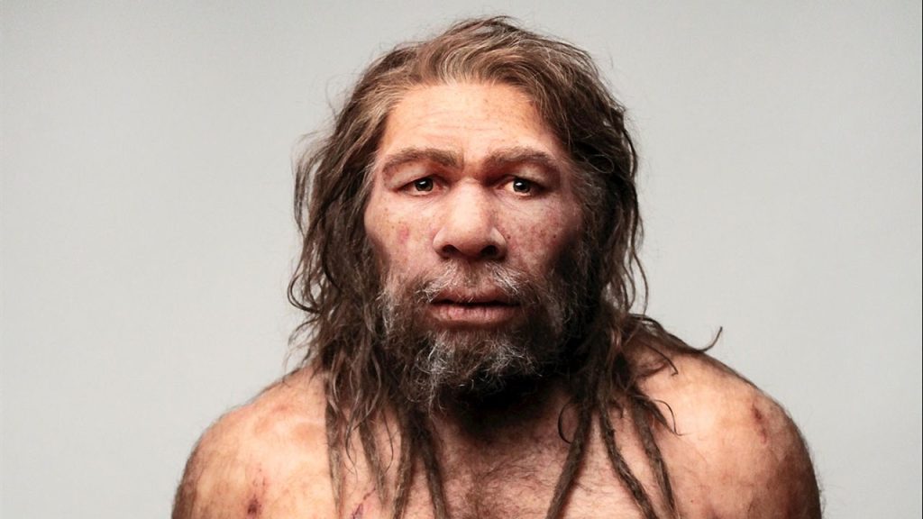 Investigadores descubrieron un linaje neandertal en Francia que vivió aislado durante más de 50 mil años hasta su extinción