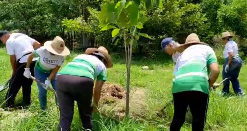 Paseo Orégano