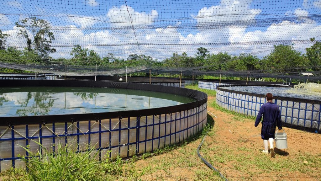 Investigadores austriacos presentaron innovadora tecnología para la cría de peces o piscicultura en un sistema completamente cerrado