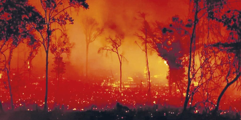 Los incendios forestales calcinaron casi 7 millones de hectáreas de la Amazonía brasileña en 2024, lo que supone un 1,6 % del bioma