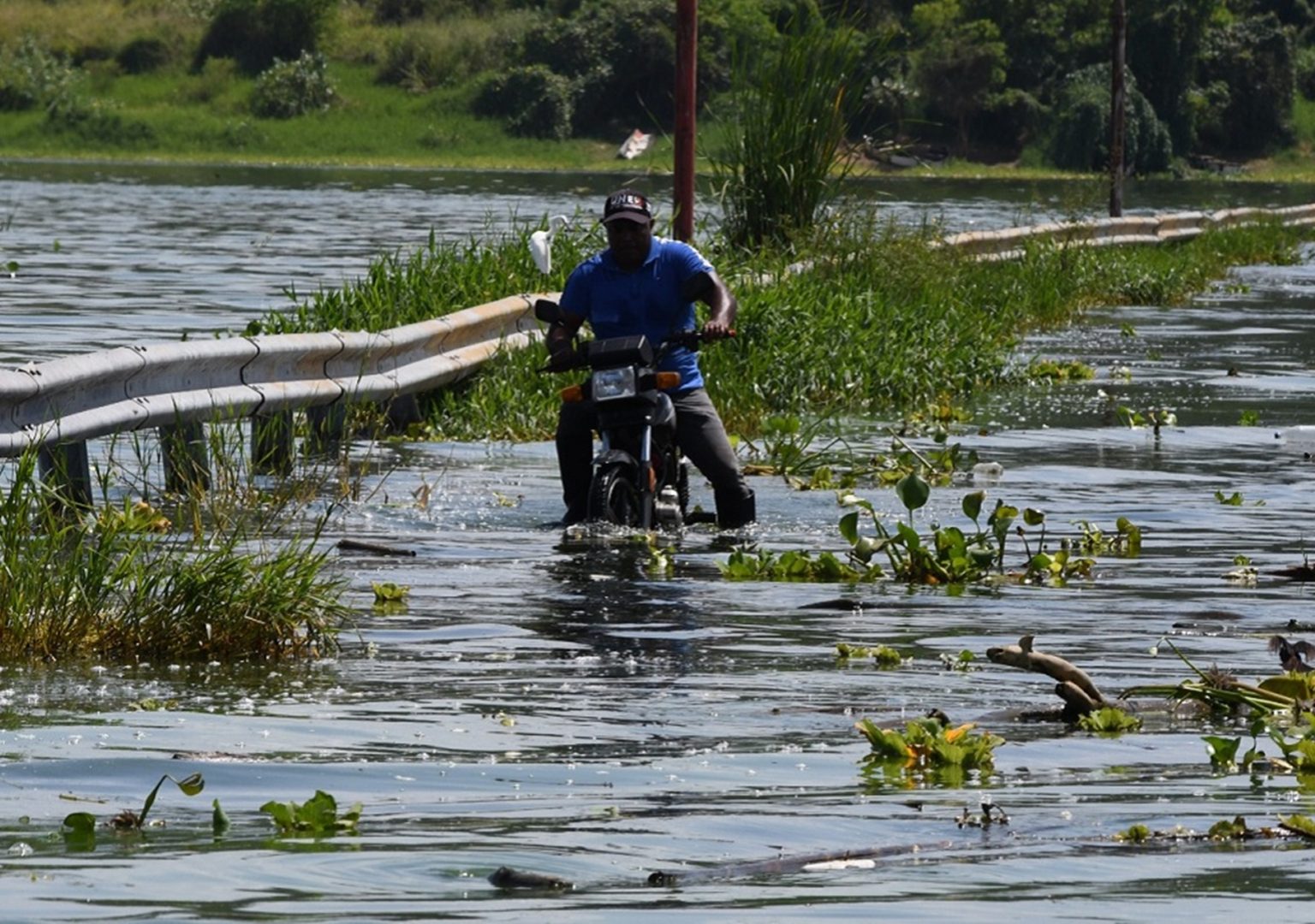Alarmados vecinos de la isla La Culebra por aumento del nivel del lago