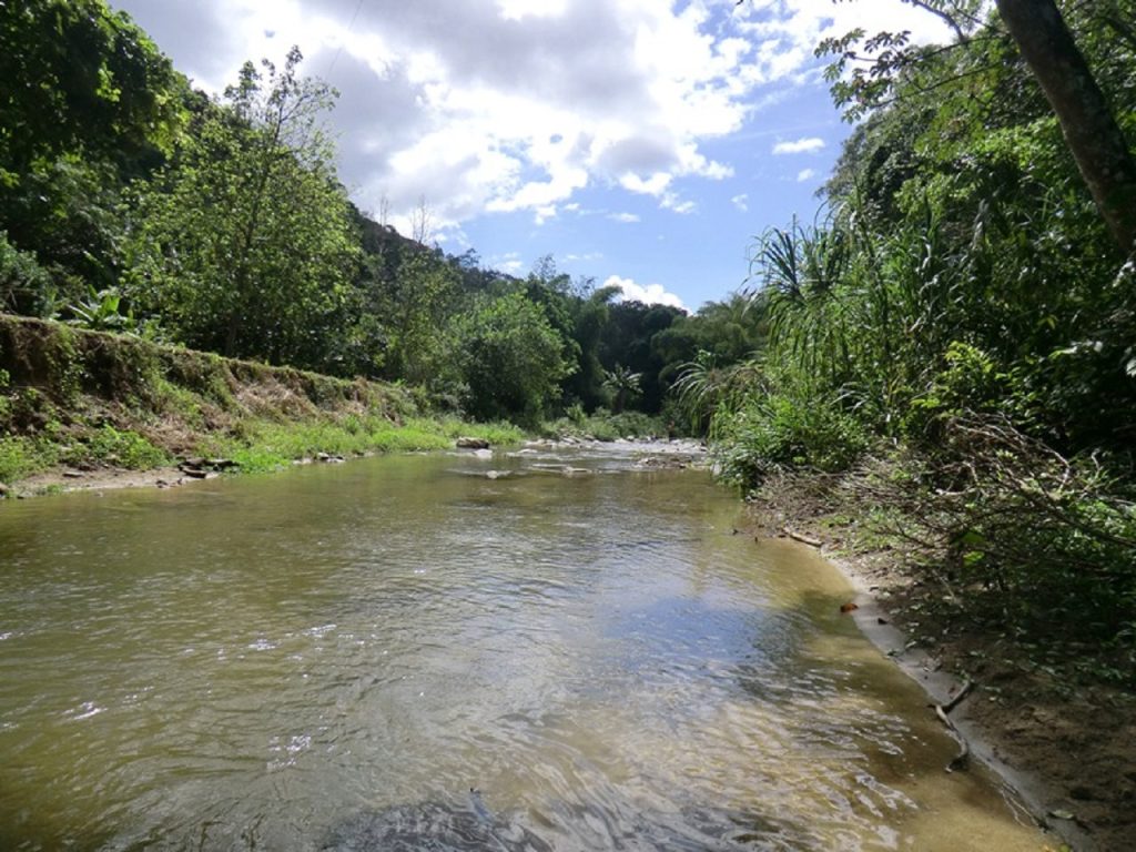 Protección Civil evacúa a 50 personas atrapadas por la crecida del río Pacairigua