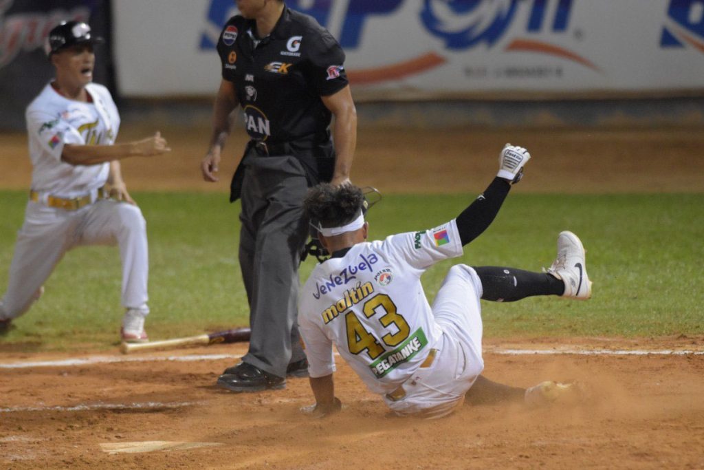 Tigres