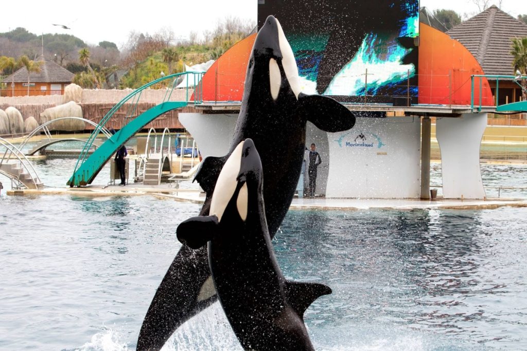 Marineland