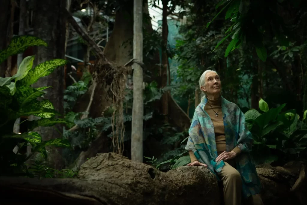 Jane Goodal