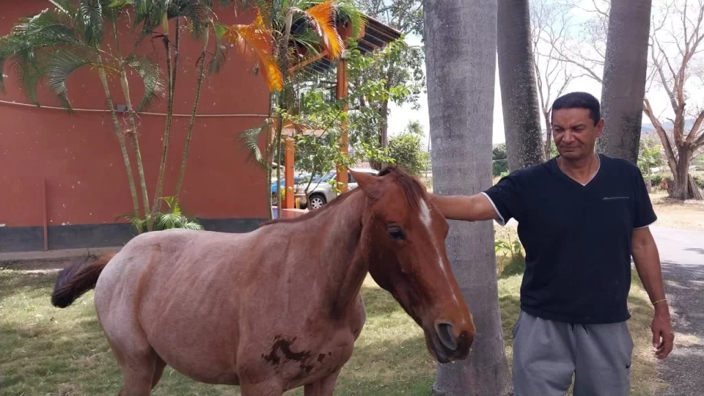 José Angel Rengifo Galavis