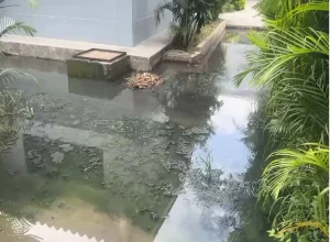 Enfermería UC