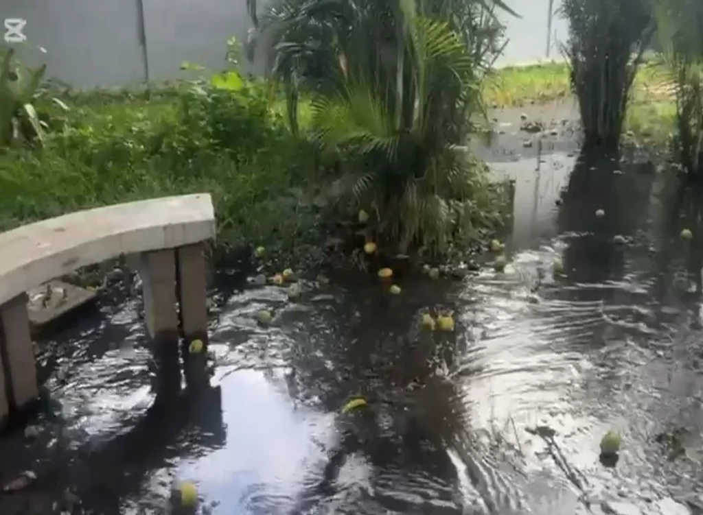 Enfermería UC