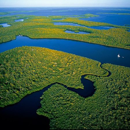 Impacto humano en la pérdida de agua dulce es 20% mayor de lo estimado