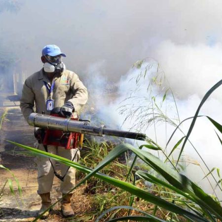 Alcaldía de Valencia inició fumigación casa por casa