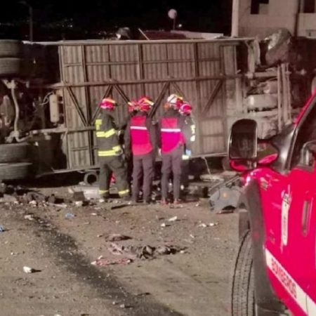 El accidente se registró en la noche de jueves a la altura del sector de Los Cañaverales, en el norte del cantón Ibarra, cuando el vehículo de transporte se volcó en la vía Panamericana. (EFE)