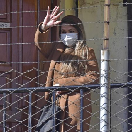 Fernández rechaza interceder ante Bolivia para que Áñez se asile en Brasil