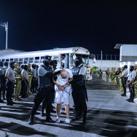 deportados bukele el salvador ong presos politicos