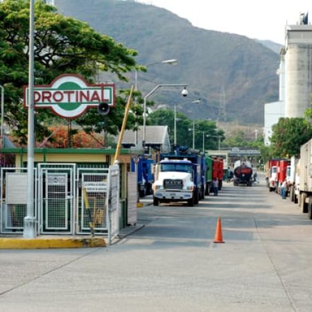 Producción de alimentos para mascotas cayó en 66% por falta de divisas