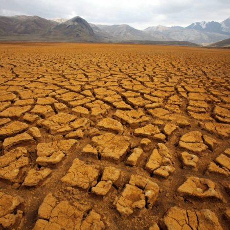 Sequía en Bolivia afecta a 102 mil 440 familias y 140 mil 852 hectáreas de cultivos
