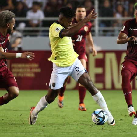 La Vinotinto