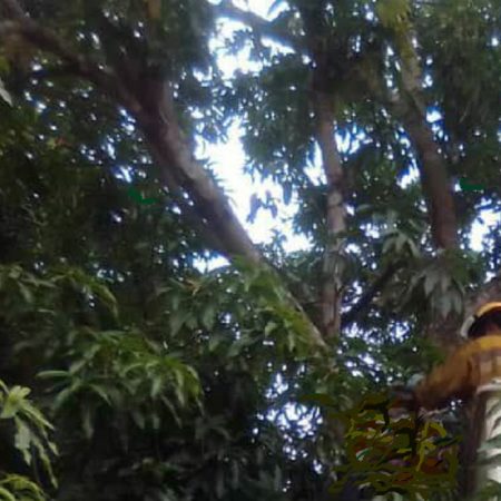 Adolescente murió electrocutado en Libertador2