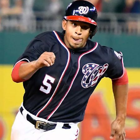 Foto:  Federal Baseball