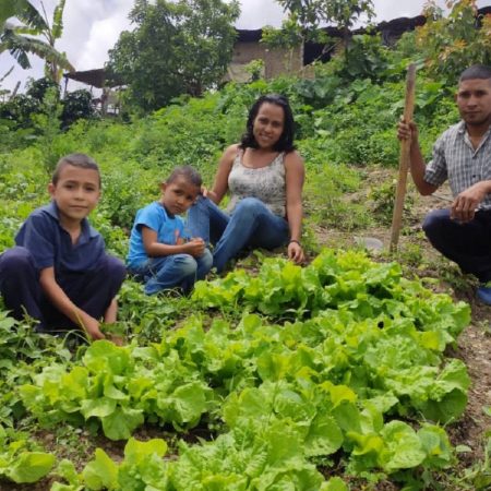 Se realizarán conferencias con distintos especialistas en agricultura. (Foto cortesía: FAO Venezuela)