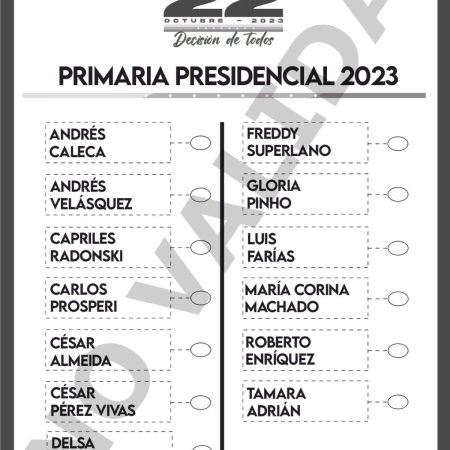 Boleta primarias