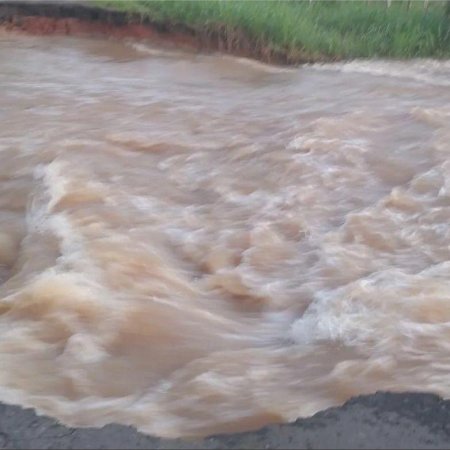 Apure