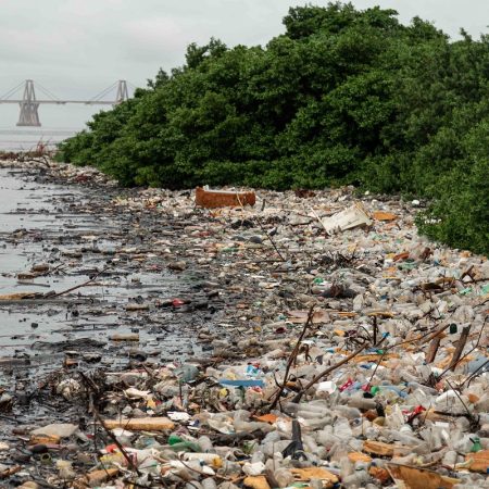 Gobierno ofrece 38 obras para recuperar el Lago de Maracaibo