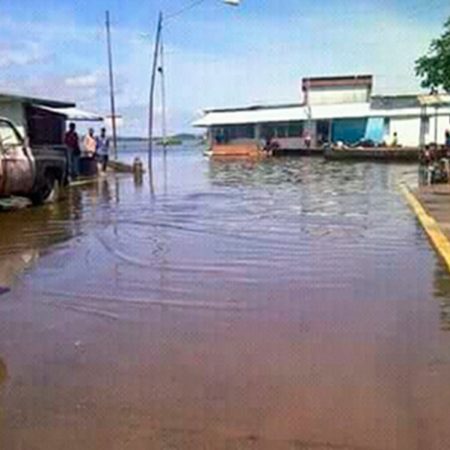 Foto referencial