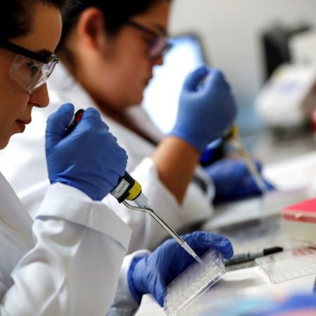 Los investigadores brasileños constataron que la proteína spike de la nueva cepa tiene una mayor fuerza de interacción molecular con el receptor ACE2. EFE