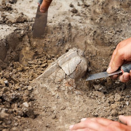 Tras décadas de trabajo se completó el inventario de 27 mil reliquias halladas en uno de los yacimientos arqueológicos más célebres de China