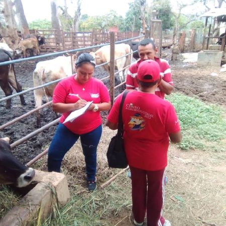 Censo Agroproductivo del municipio Libertador ha permitido organizar a 500 productores