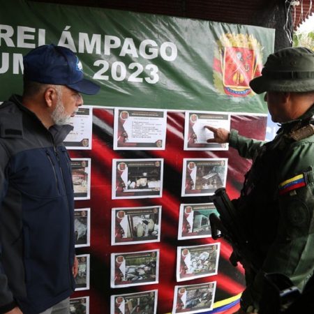 Cuerpos de seguridad incautaron y destruyeron 10,4 toneladas de cocaína