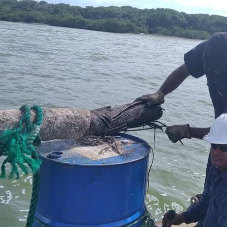 Daño en cable sublacustre produjo falla eléctrica en Zulia
