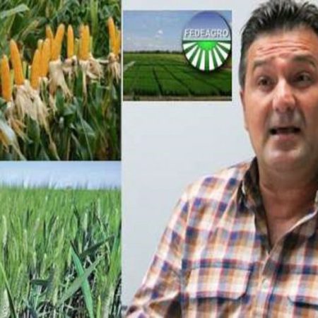 Fedeagro-Celso-Fantinel-2020