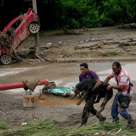 AN oficialista designó comisión para atender el deslave en Las Tejerías