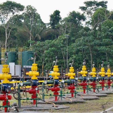 Ecuador vota histórico plebiscito sobre explotación de petróleo en la Amazonía/Foto Qué Pasa