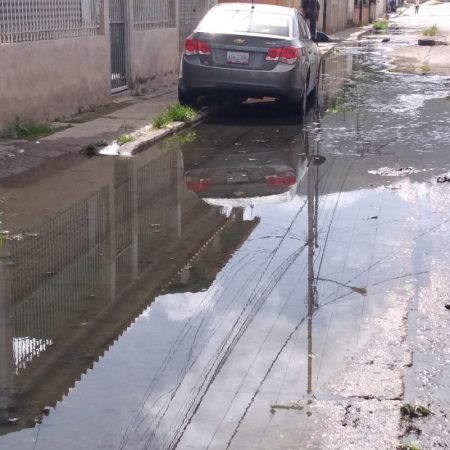 (Foto cortesía Carlos Castillo)