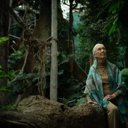 Jane Goodal