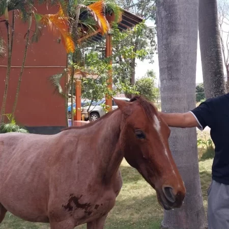 José Angel Rengifo Galavis