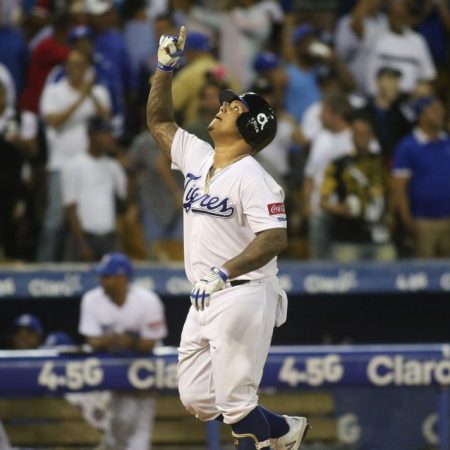 Yermín Mercedes fue uno de los más destacados a la ofensiva en el triunfo de los Tigres./Foto: Licey.com