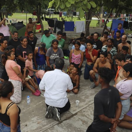 Llevan alimentos