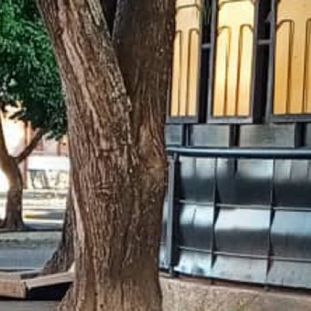 Foto: Cortesía