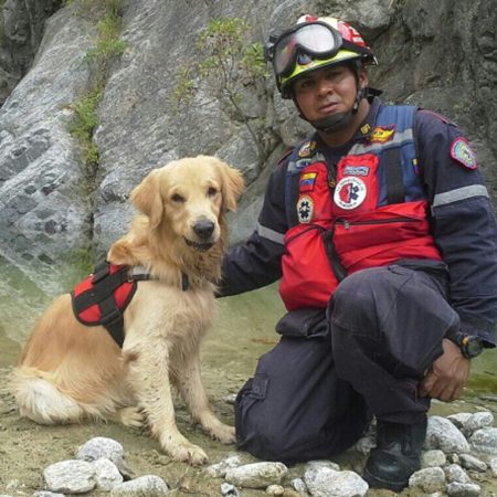 Orión perro rescatistga