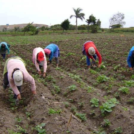 Campesinos en Venezuela. Foto cortesía